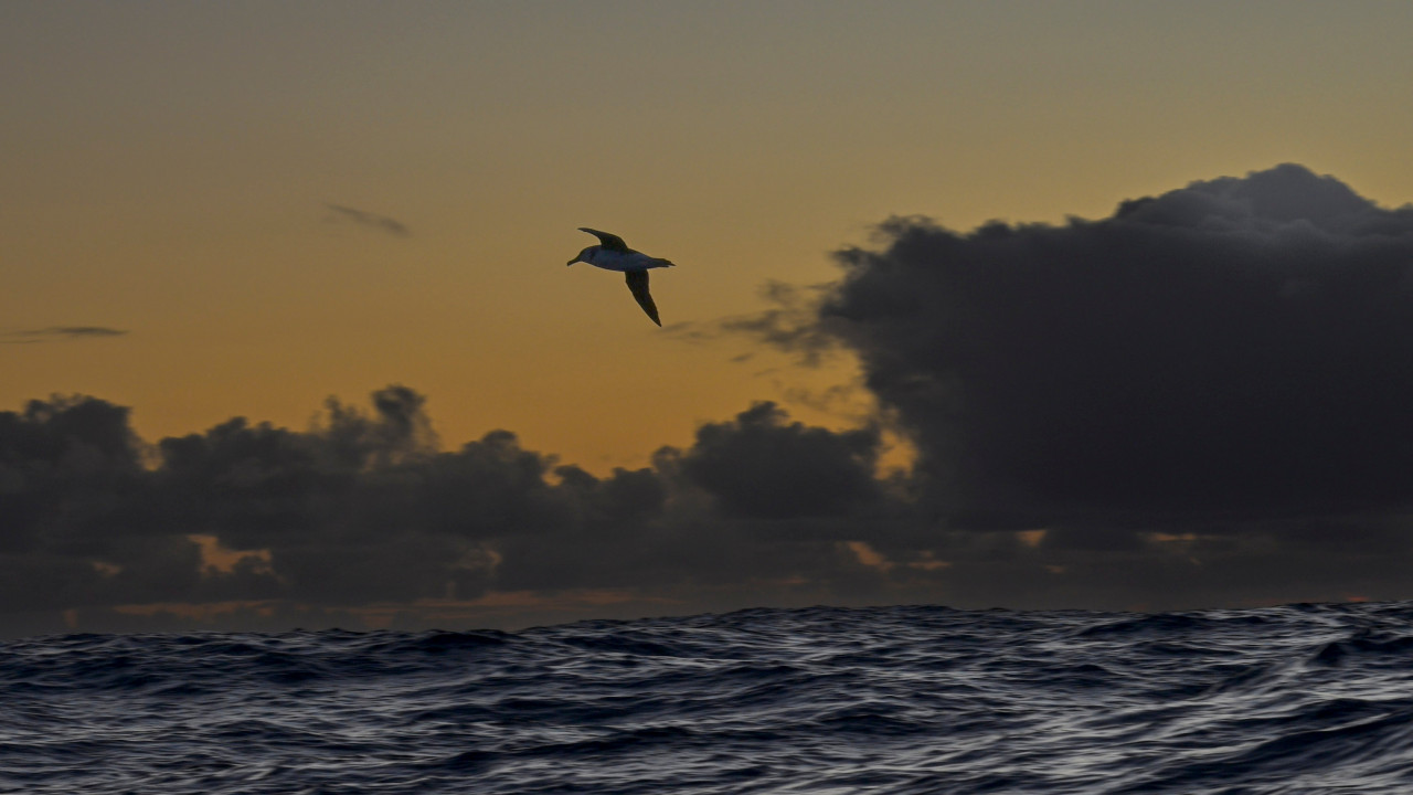 14 03 230326 ROG BIOTH 0024