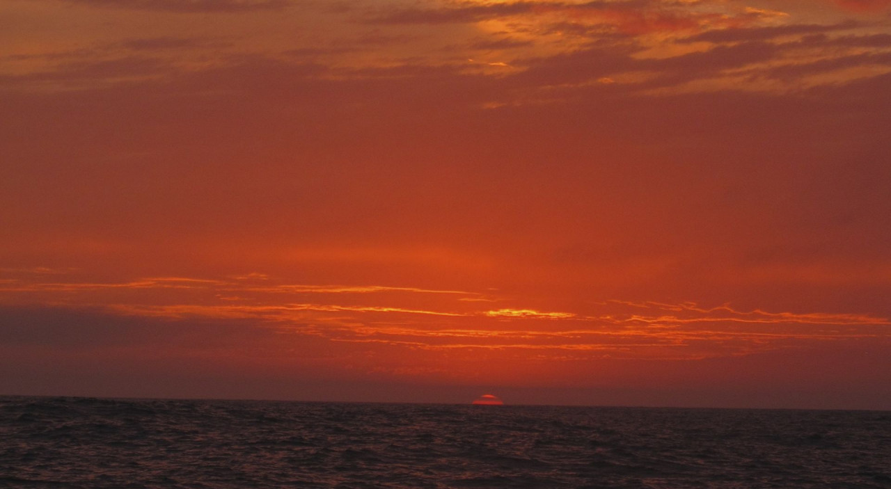 Barcelona World Race: a two-speed Atlantic