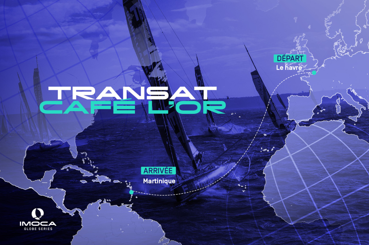 Transat cafe l'or newsletter